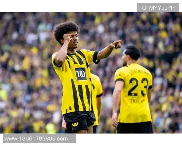 被遗忘的绿茵幻影追踪那些如同隐身般消失的足球球星 被遗忘的绿茵幻影追踪那些如同隐身般消失的足球球星