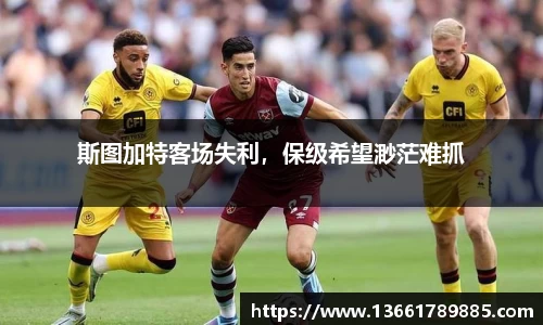 彩神VI首页
